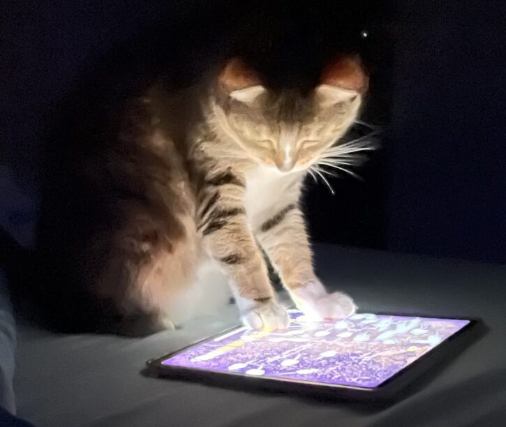 {{brizy_dc_image_alt imageSrc=